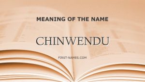 CHINWENDU