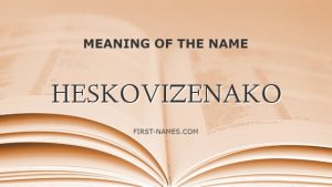 HESKOVIZENAKO
