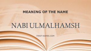 NABI ULMALHAMSH