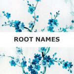 The World of Given Names: Top 10 Root Names and Their Many Variations