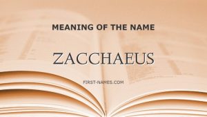 ZACCHAEUS
